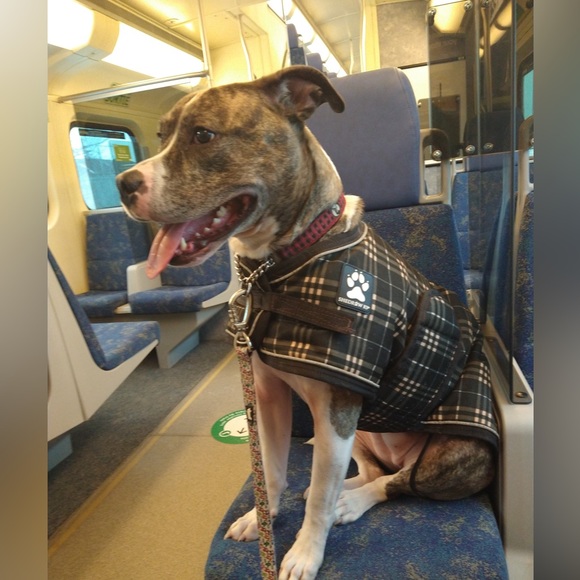 Meet your Posher, Jamie - Picture 2 of 2